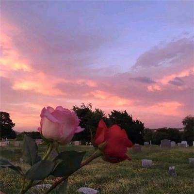 必一体育官方下载入口截图