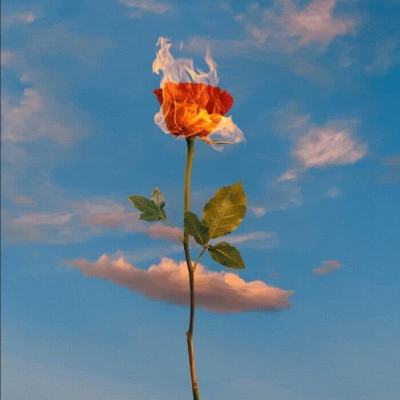 天博体育官网下载入口