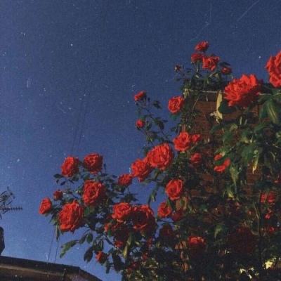 必一体育官方下载入口截图