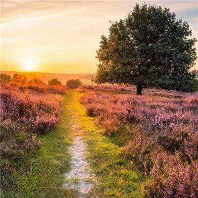 4688美高梅登录中心