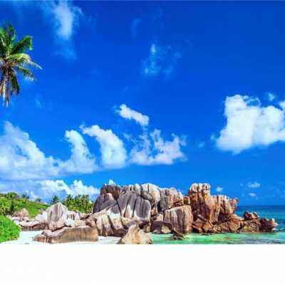 best365官网手机版