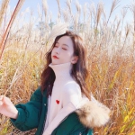 B体育手机版在线下载手机版